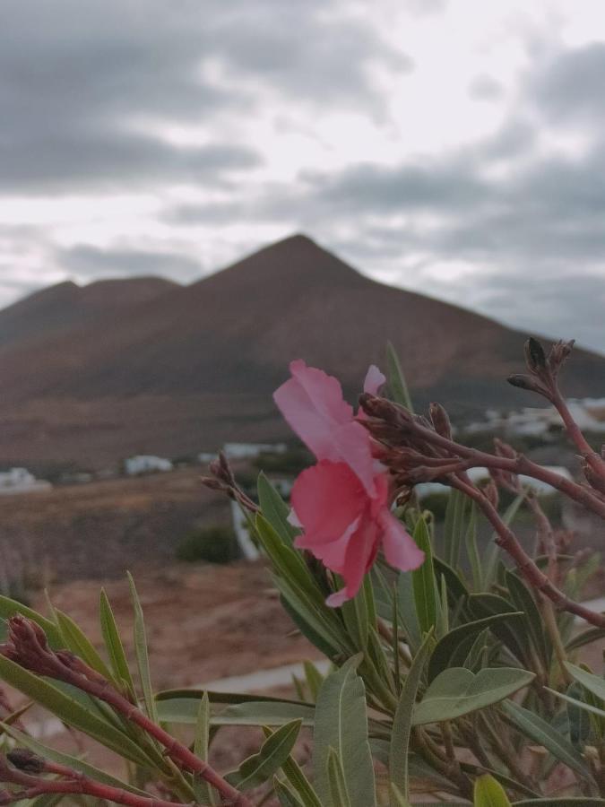 La Morreta Suites I - Lanzarote Conil エクステリア 写真