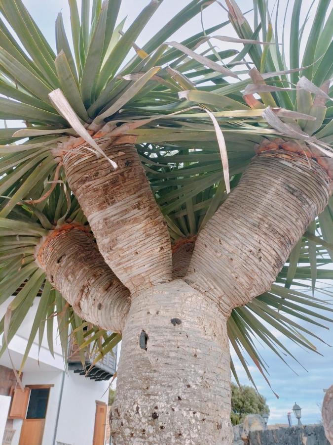 La Morreta Suites I - Lanzarote Conil エクステリア 写真